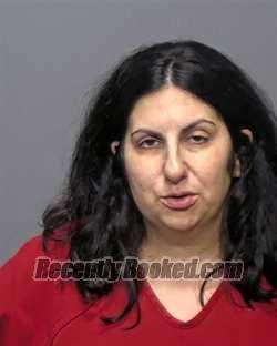 Recent Mugshot Image for Vanessa Elizabeth Hollandsworth in Porter County, Indiana