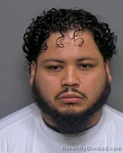Recent Mugshot Image for Flavio A Quintanilla Melara in Porter County, Indiana
