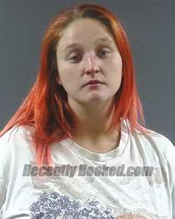 Recent Mugshot Image for DIAMOND ANN MARIE SPINKS in Posey County, Indiana