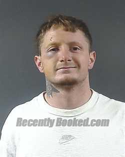 Recent Mugshot Image for BLAKE AUSTIN WEINZAPFEL in Posey County, Indiana
