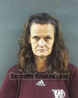 Recent Booking / Mugshot for CRYSTAL MCKINNEY in Posey County, Indiana