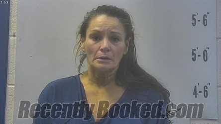 Recent Mugshot Image for AMY JO MURRAY in Pulaski County, Indiana