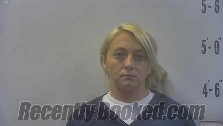Recent Mugshot Image for BRITTANY SHEA STEPP in Pulaski County, Indiana