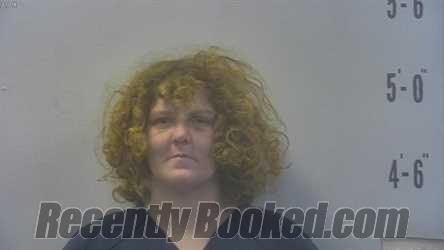 Recent Mugshot Image for DESIREE KATHLEEN GRAVES in Pulaski County, Indiana