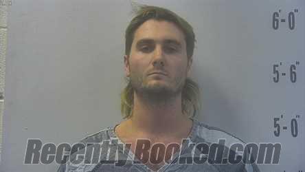 Recent Mugshot Image for LOGAN LEWIS PATERSON in Pulaski County, Indiana