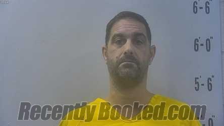 Recent Mugshot Image for LEE ALLEN TILLEMA in Pulaski County, Indiana