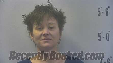 Recent Mugshot Image for SARA ELAINE INGRAM in Pulaski County, Indiana
