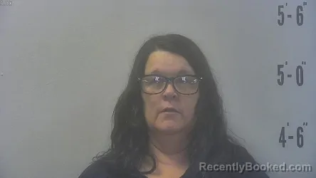 Recent Mugshot Image for STACY RUTH SMALL in Pulaski County, Indiana