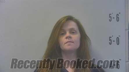 Recent Mugshot Image for WENDY CHRISTINE SHIDLER in Pulaski County, Indiana
