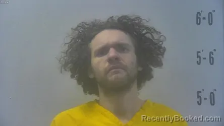 Recent Mugshot Image for WADE KALEB TEX WATSON in Pulaski County, Indiana