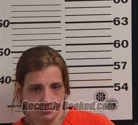 Recent Mugshot Image for FELISHA FAYE COGGINS in Jackson County, North Carolina