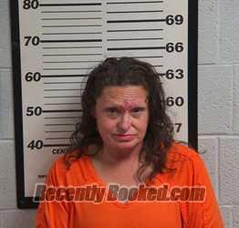 Recent Mugshot Image for KIMBERLY DAWN WEBB in Jackson County, North Carolina