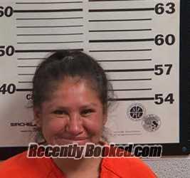 Recent Mugshot Image for MATTIE JEAN CATT in Jackson County, North Carolina