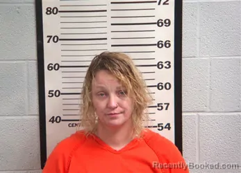 Recent Mugshot Image for JANELLE CATHERINE JOHNSON in Jackson County, North Carolina