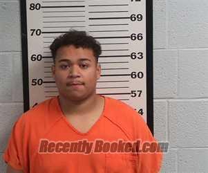 Recent Mugshot Image for YANDEL YADIEL VIVANCO in Jackson County, North Carolina