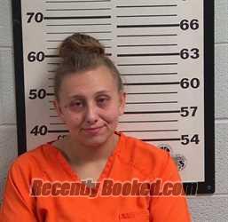 Recent Mugshot Image for KYLIE RENESE COLLINS in Jackson County, North Carolina