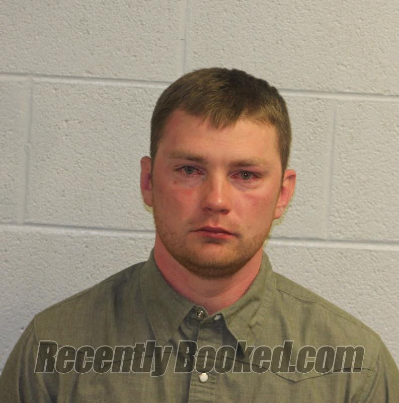Recent Mugshot Image for Dillion Grahl Lee Haney in Jackson County, North Carolina