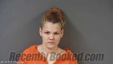 Recent Mugshot Image for LESLIE ELLEN ANDERSON in Putnam County, Indiana
