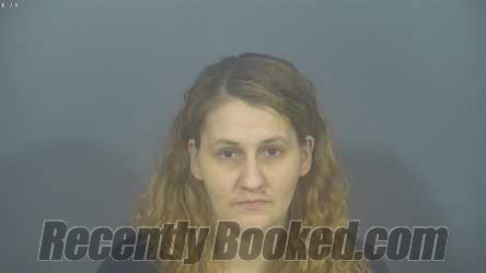 Recent Mugshot Image for BRITTANY NICOLE WILLARD in St Joseph County, Indiana