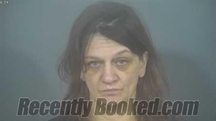 Recent Mugshot Image for TRISHA RENEE FLYNN in St Joseph County, Indiana