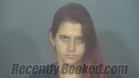 Recent Mugshot Image for CHERYL ANN GOVEA in St Joseph County, Indiana