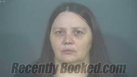 Recent Mugshot Image for KRISTY LYNN HAWKINS in St Joseph County, Indiana