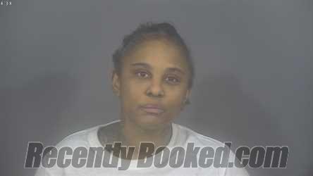 Recent Mugshot Image for CHANTEL ELIOSE REDDING in St Joseph County, Indiana