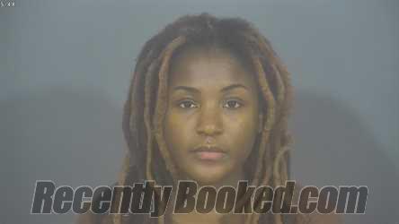 Recent Mugshot Image for RIVIERA MARIE PERKINS in St Joseph County, Indiana