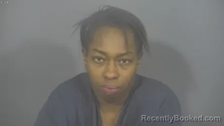 Recent Mugshot Image for ALAYZAH LYNN BARNES in St Joseph County, Indiana