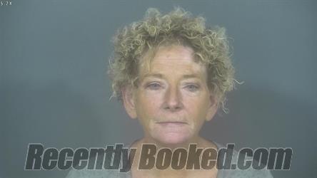 Recent Booking / Mugshot for AMY MICHELLE JONES in St Joseph County ...