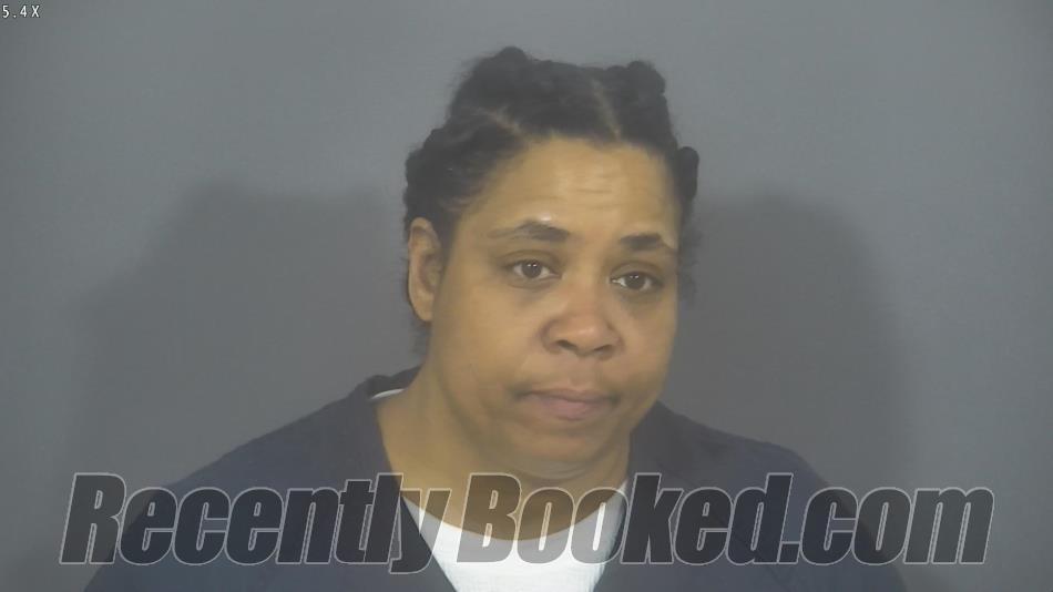 Recent Mugshot Image for JANETTE SISALY ANDERSON in St Joseph County, Indiana