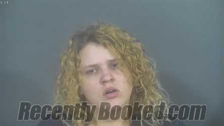 Recent Booking / Mugshot for MYAH JANETT WILKINS in St Joseph County ...