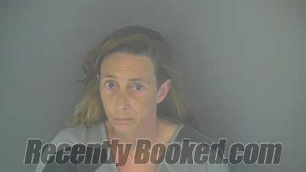 Recent Mugshot Image for TAMMIE L TERRY in Shelby County, Indiana