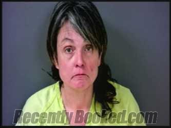 Recent Mugshot Image for JERRI KAREN HARTZ in Starke County, Indiana