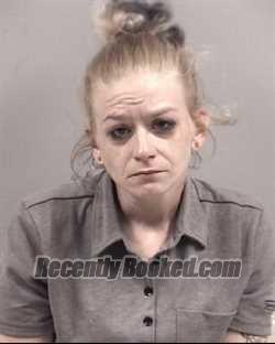 Recent Booking / Mugshot for HEATHER ASHLEY JOHNSON in Johnston County