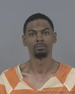 Recent Mugshot Image for CARMEN BUENO in Johnston County, North Carolina