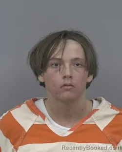 Recent Mugshot Image for DANA LYNN DEAN in Johnston County, North Carolina