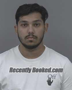 Recent Mugshot Image for SUSAN MICLESCU in Johnston County, North Carolina