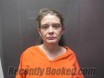 Recent Mugshot Image for APRIL DAWN ROBINSON in Sullivan County, Indiana