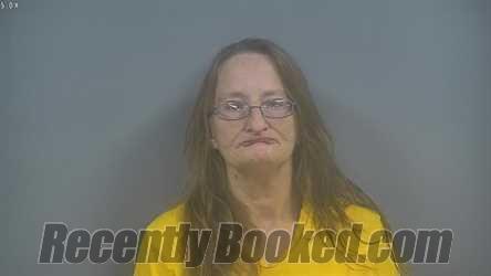 Recent Mugshot Image for TERRI LYNN MILLER in Sullivan County, Indiana