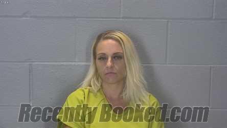 Recent Booking / Mugshot for Laura Nicole Brooks in Tippecanoe County ...