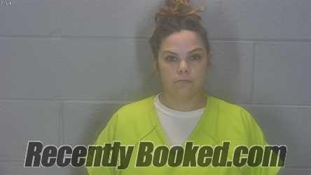 Recent Mugshot Image for Sarah N Ficklin in Tippecanoe County, Indiana