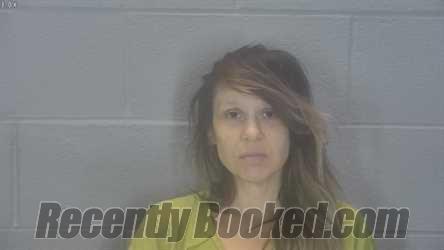 Recent Mugshot Image for Crystal L Caballero in Tippecanoe County, Indiana