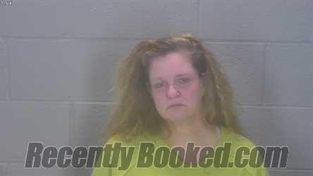 Recent Mugshot Image for Catrina Louise Devries in Tippecanoe County, Indiana