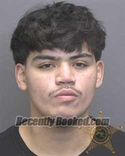 Recent Mugshot Image for SAYANI ALI MERIDA in Vanderburgh County, Indiana