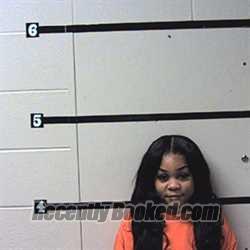 Recent Mugshot Image for Jasmine Collins in Warren County, Indiana