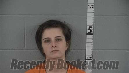 Recent Mugshot Image for ANGELICA E CHRISTIAN in Washington County, Indiana