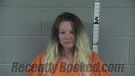 Recent Mugshot Image for Amy L Jackson in Washington County, Indiana