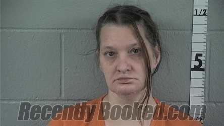 Recent Mugshot Image for JONI R HAMPTON in Washington County, Indiana