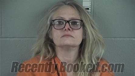 Recent Mugshot Image for Kathi L Plaskett in Washington County, Indiana